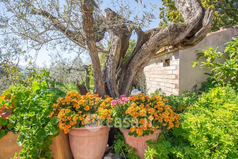Villa in Contrada Astignano — foto 33 di 50