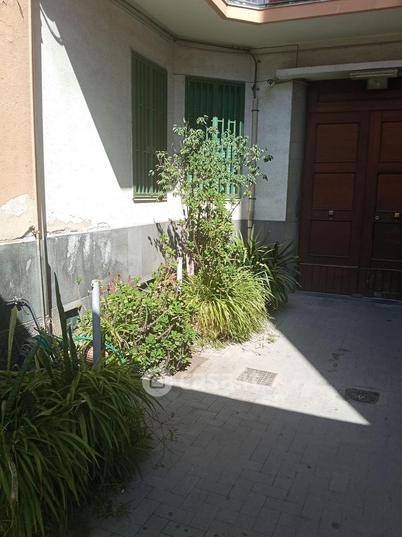 Stanza in Via Ficarazzi — foto 17 di 22