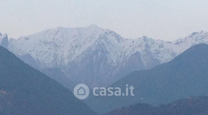 Trilocale in Via Bergiola — foto 13 di 23