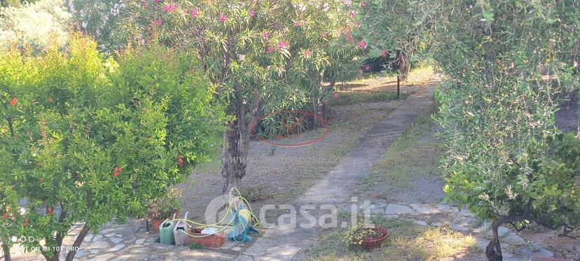 Villa in Via al Poggio 39 — foto 32 di 43