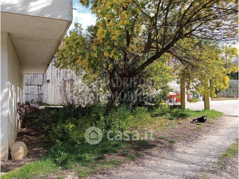 Trilocale in Via San Giuseppe 75 — foto 32 di 35