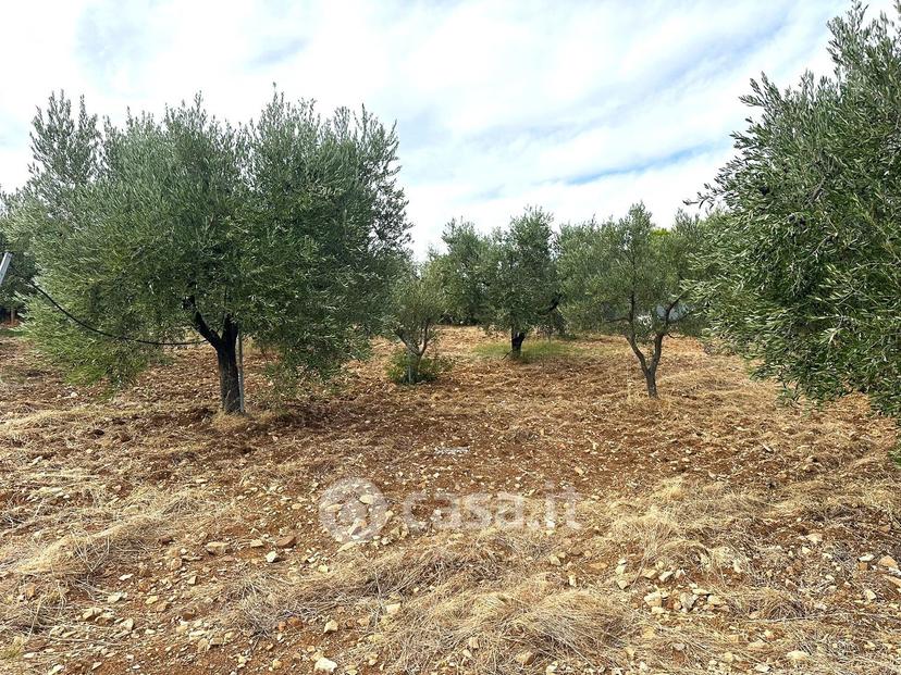 Villa in Località Frà Giuseppe 3 — foto 32 di 34