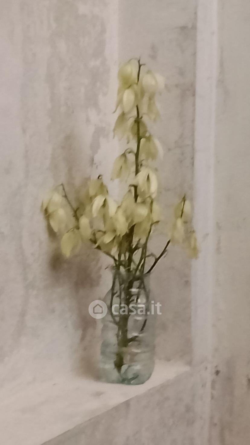 Villa in Via Giuseppe Verdi 6 — foto 16 di 38