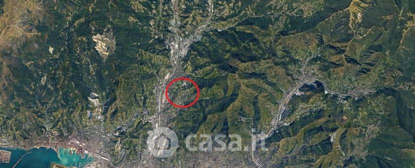 Trilocale in Via Pierino Negrotto Cambiaso — foto 21 di 32