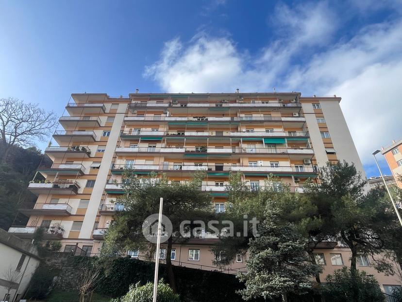 Trilocale in Via Emilio Salgari 6 — foto 2 di 31