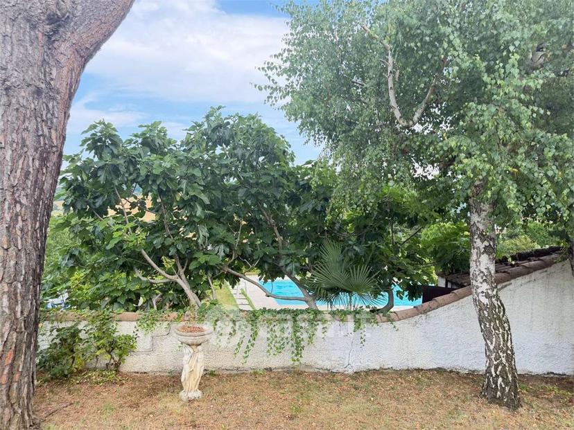 Villa in Località Case Pesci — foto 40 di 44