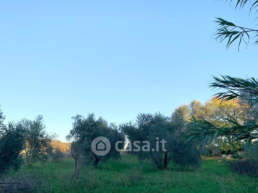 Villa in Montemerano — foto 41 di 50