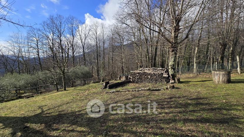 Villa in Via Contessa Casalini 30 — foto 17 di 39
