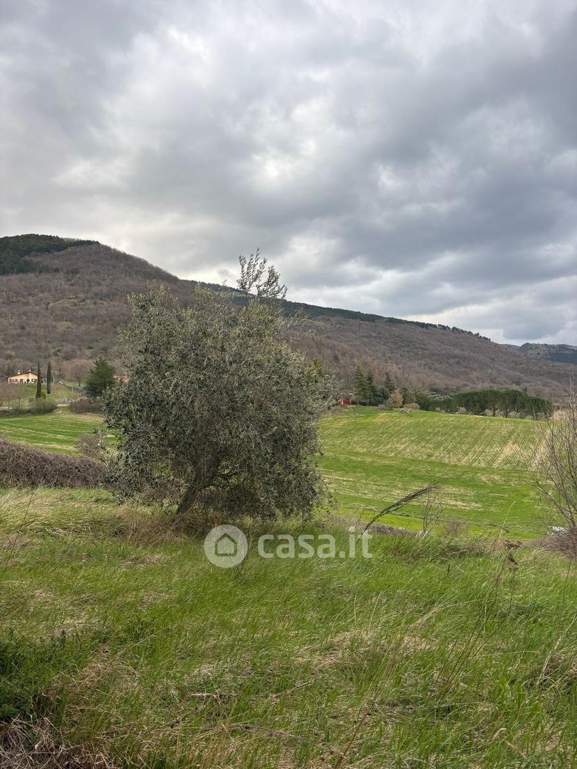 Villa in Via Dante Alighieri 23 — foto 47 di 48