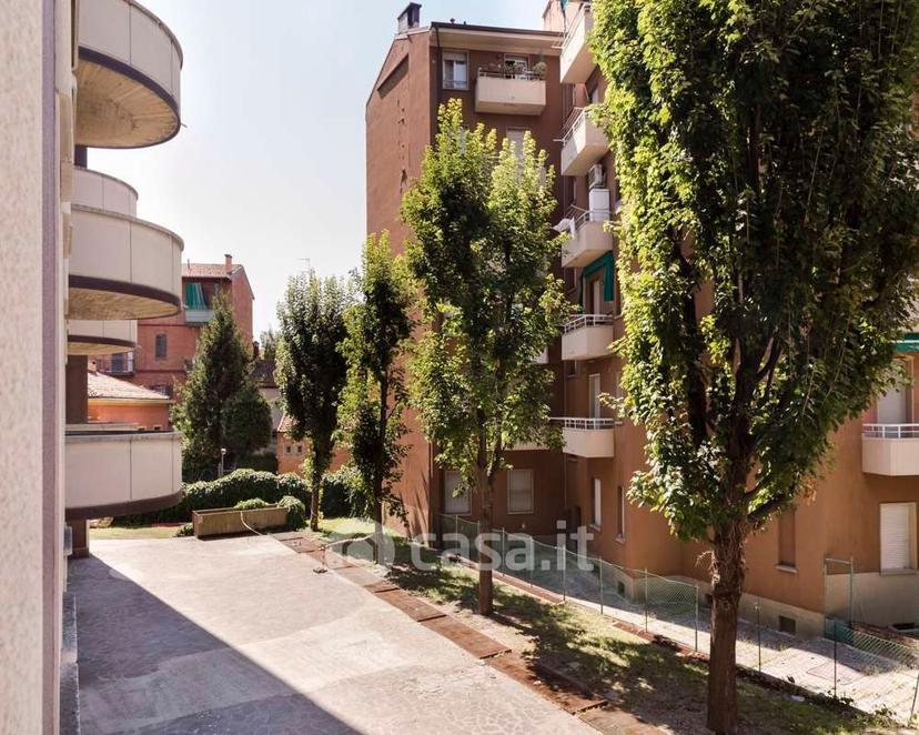 Stanza in Viale Giovanni Vicini 20 — foto 32 di 43