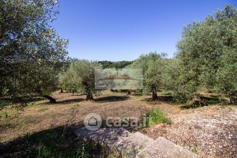 Villa in Strada Vicinale Salondra 78 — foto 17 di 35