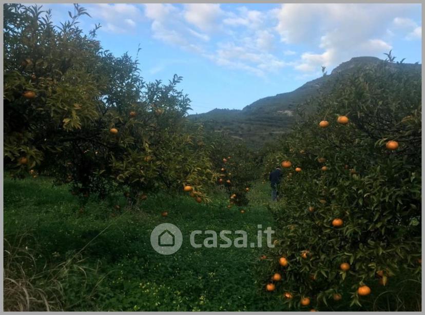 Appartamento in Corso Umberto I — foto 19 di 32
