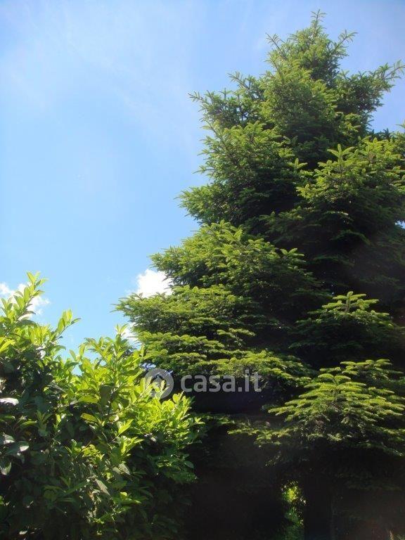 Villa in Via Sandro Pertini — foto 3 di 56