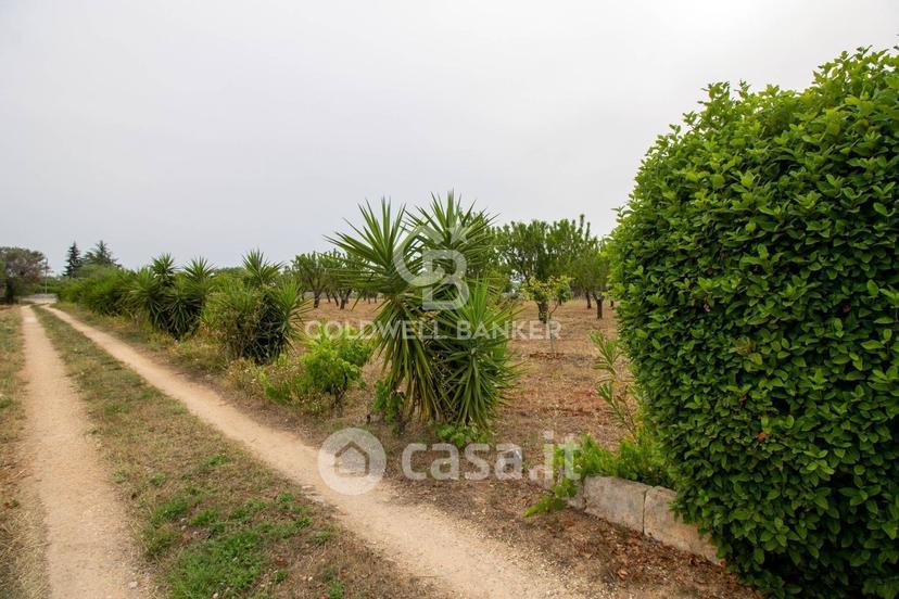 Villa in Strada Statale 16 Adriatica — foto 19 di 50