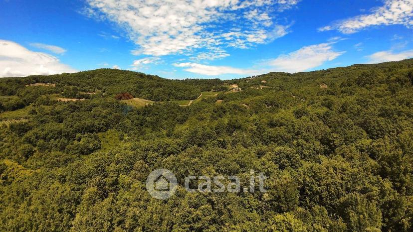 Villa in Strada delle Cerbaie — foto 54 di 63