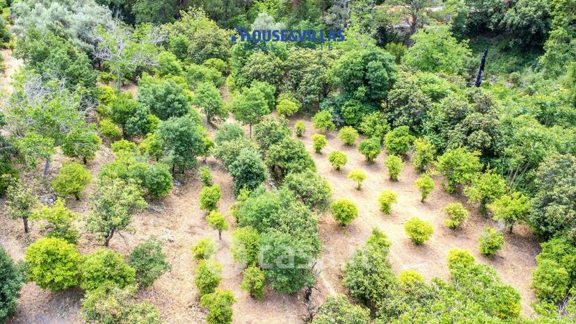 Villa in Contrada Fiumara — foto 30 di 43