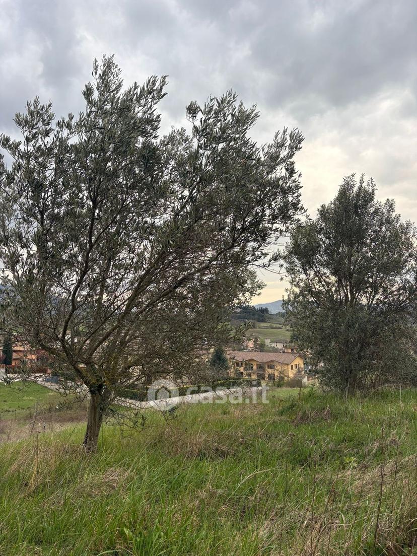 Villa in Via Dante Alighieri 23 — foto 8 di 48
