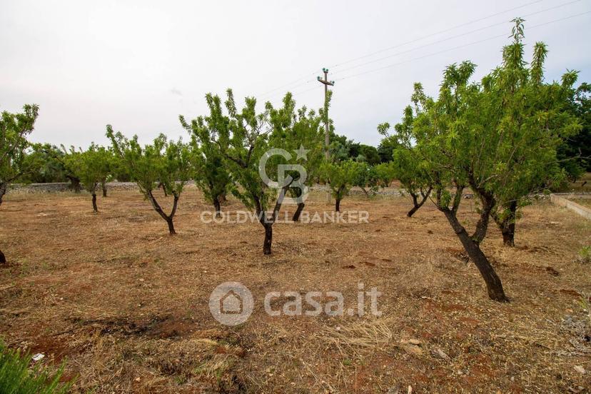 Villa in Strada Statale 16 Adriatica — foto 11 di 50