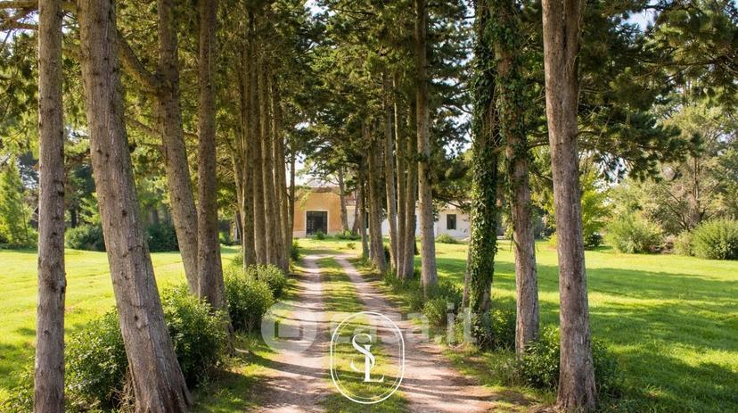 Villa in Via U. Giordano — foto 6 di 34