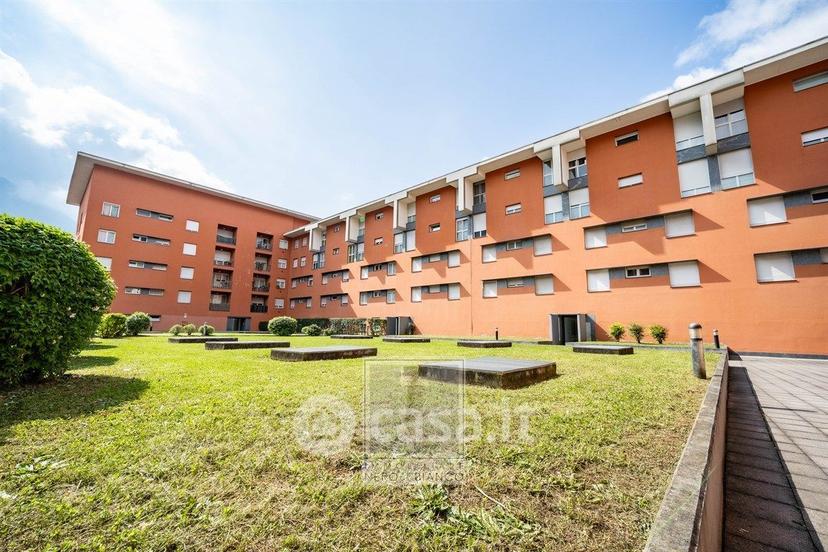 Trilocale in Viale Montegrappa — foto 29 di 39