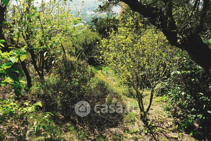 Villa in Via Rotabile Massa Turro 75 — foto 7 di 61