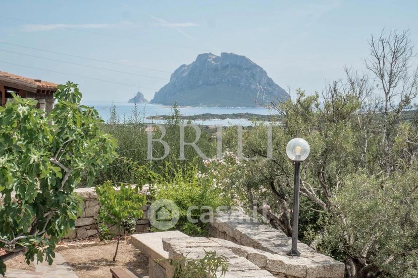 Villa in Via Marghine — foto 7 di 59