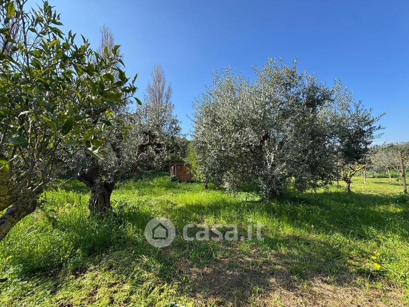 Villa in Via Appia Antica 57 — foto 11 di 77