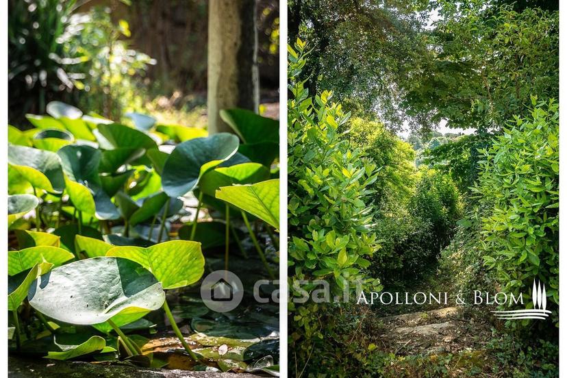 Villa in Via Due Giugno 21 — foto 31 di 44
