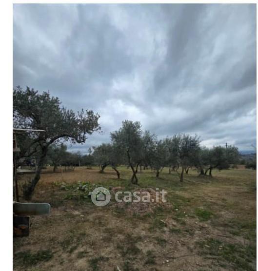 Appartamento in Via Roma — foto 11 di 32