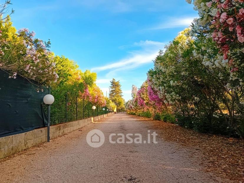 Villa in Carovigno — foto 7 di 21