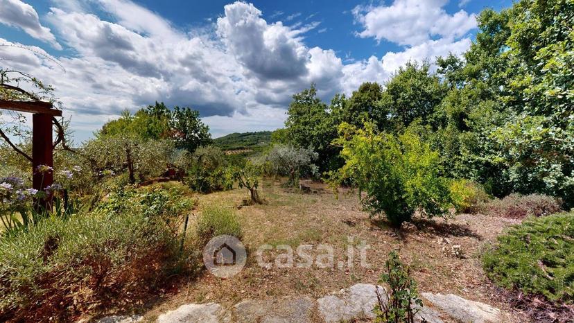 Villa in Strada delle Cerbaie — foto 5 di 63
