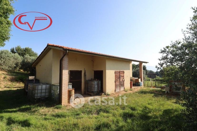 Villa in Via delle Muricce — foto 5 di 43