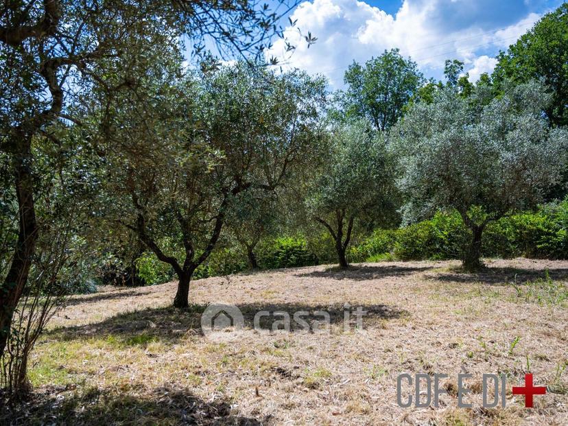 Villa in Vocabolo Marignano — foto 39 di 52