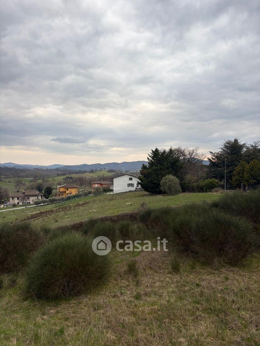 Villa in Via Dante Alighieri 23 — foto 10 di 48