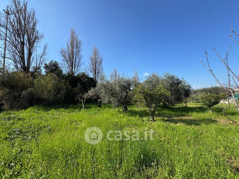 Villa in Via Appia Antica 57 — foto 6 di 77