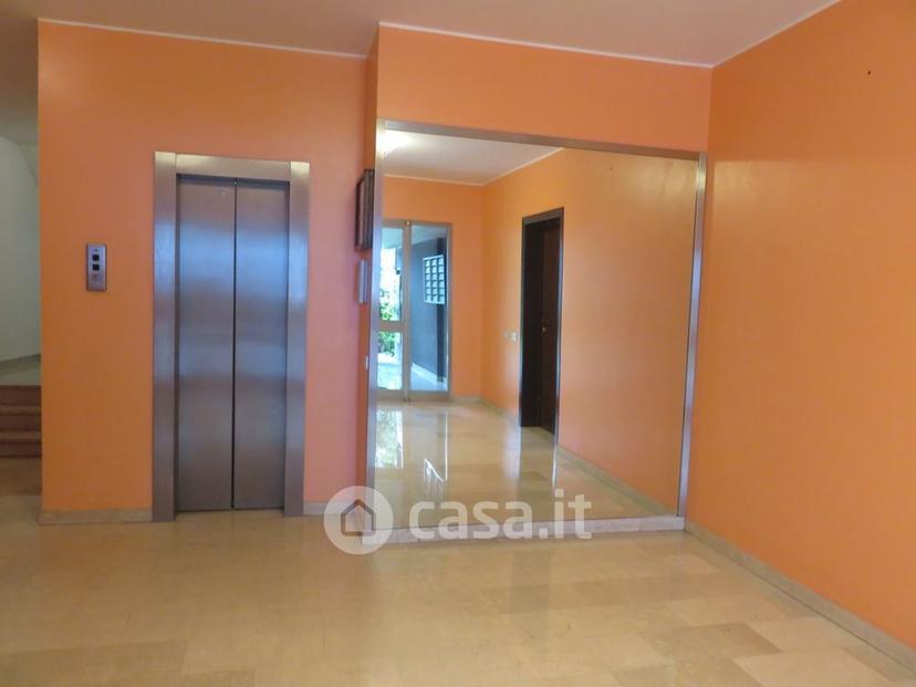 Quadrilocale in Viale Dante Alighieri 53 — foto 23 di 39