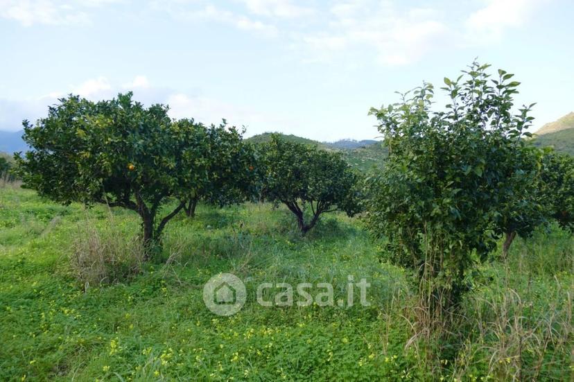 Appartamento in Corso Umberto I — foto 10 di 32