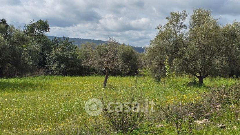 Villa in Cavasecca — foto 7 di 25