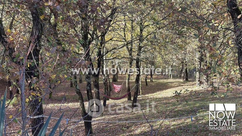 Villa in San Pietro in Villa — foto 44 di 67