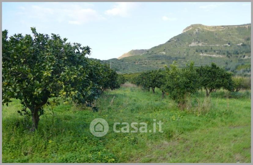 Appartamento in Corso Umberto I — foto 25 di 32