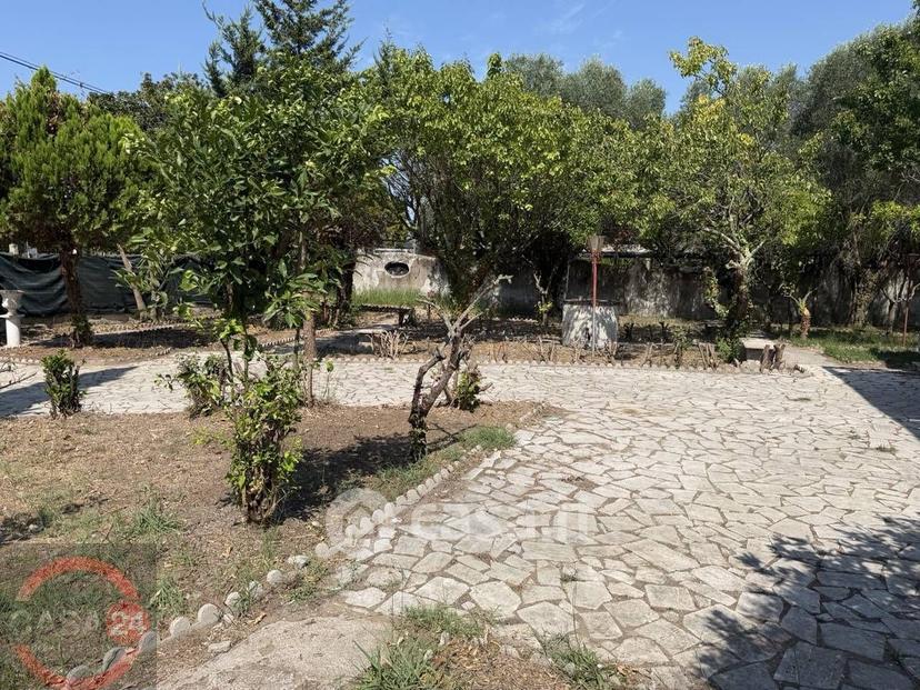 Villa in Santa Cruz — foto 80 di 102