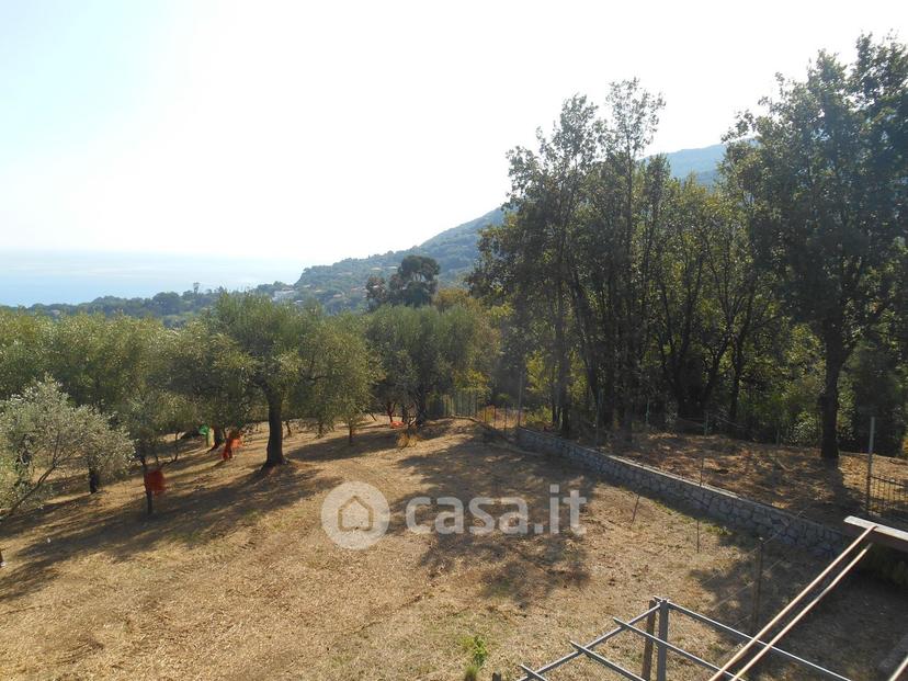 Trilocale in Via Altieri 14 — foto 9 di 33