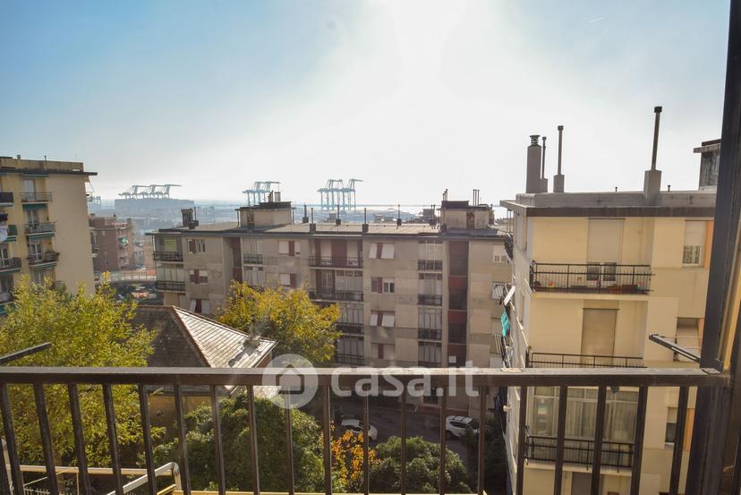 Appartamento in Via Diano Marina 56 — foto 15 di 38