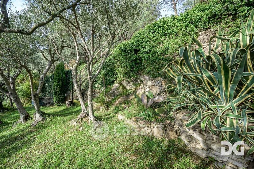 Bilocale in Via Armanna 19 a — foto 20 di 49