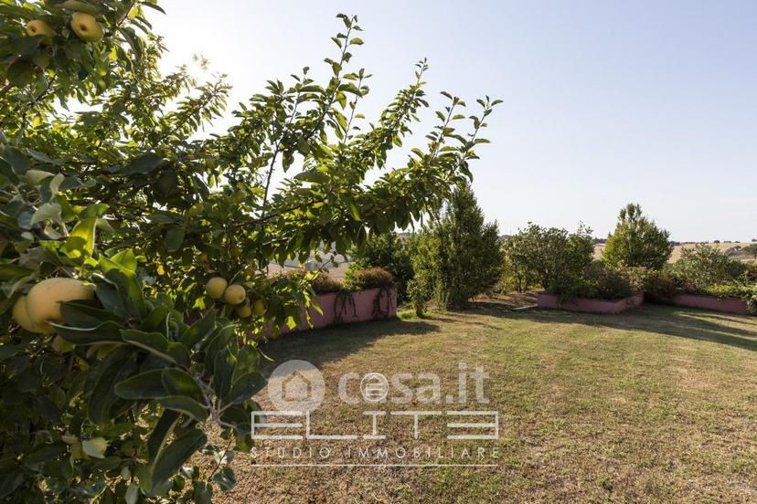 Villa in Strada Fabbrici Ville — foto 33 di 56