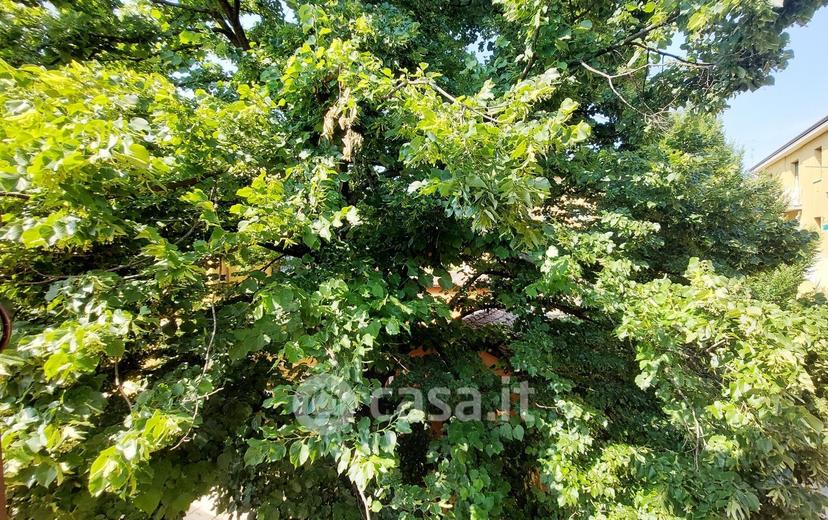 Quadrilocale in Via Lemonia 3 — foto 3 di 16