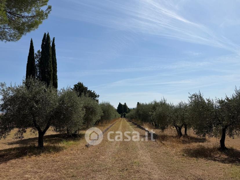 Villa in Strada Provinciale di Monteaperti — foto 21 di 54