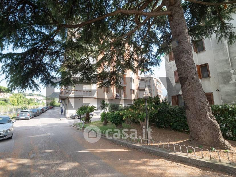 Appartamento in Via Carlo Santoro — foto 16 di 41