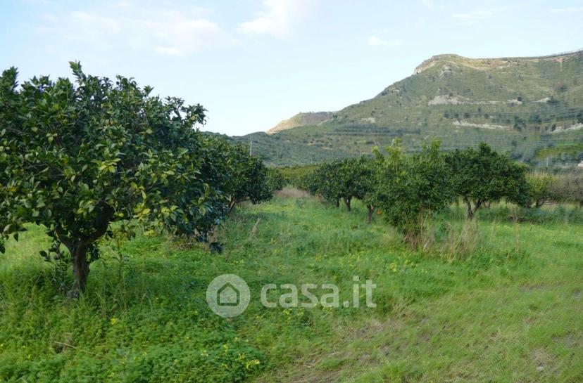 Appartamento in Corso Umberto I — foto 11 di 32