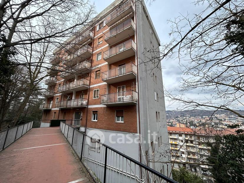 Trilocale in Via XXV Aprile 28 — foto 16 di 24